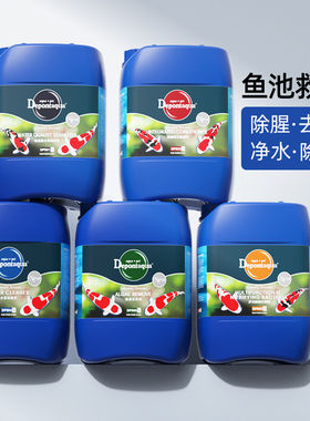 大禹德邦锦鲤鱼池专用净