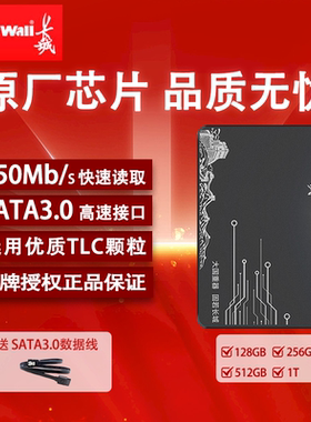 长城固态硬盘128G 256G 台式机笔记高速SSD512G全新原装正品批发