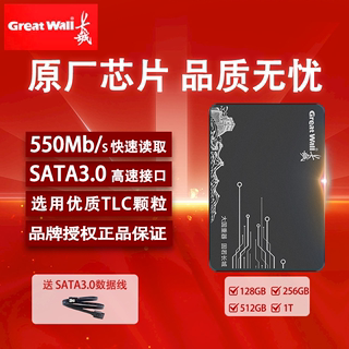 长城固态硬盘128G 256G 台式机笔记高速SSD512G全新原装正品批发