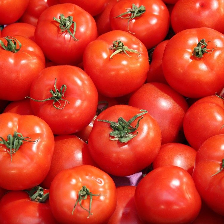西红柿新鲜沙瓤水果蔬菜番茄新鲜生吃农家普罗旺斯3斤包邮,水产肉类/新鲜蔬果/熟食,番茄,淘宝优惠券,粉丝福利购,淘宝优惠卷