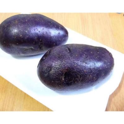 甘肃土豆沙漠黑土豆黑洋芋马铃薯