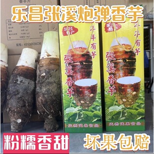 正宗乐昌张溪香芋新鲜现挖广东特大芋头蔬菜韶关特产芋头乐昌特产