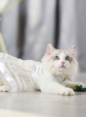 猫咪衣服Snowy白色礼物宠物公主婚纱礼服春夏布偶宠物小狗蓬蓬裙