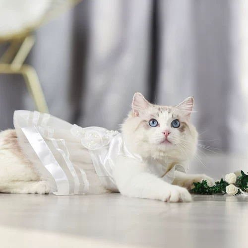 Белое летнее свадебное платье для принцессы, подарок на день рождения, юбка-пачка