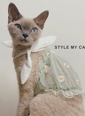 猫咪衣服Daisy宠物吊带背心春夏透气网纱小雏菊德文布偶泰迪幼犬