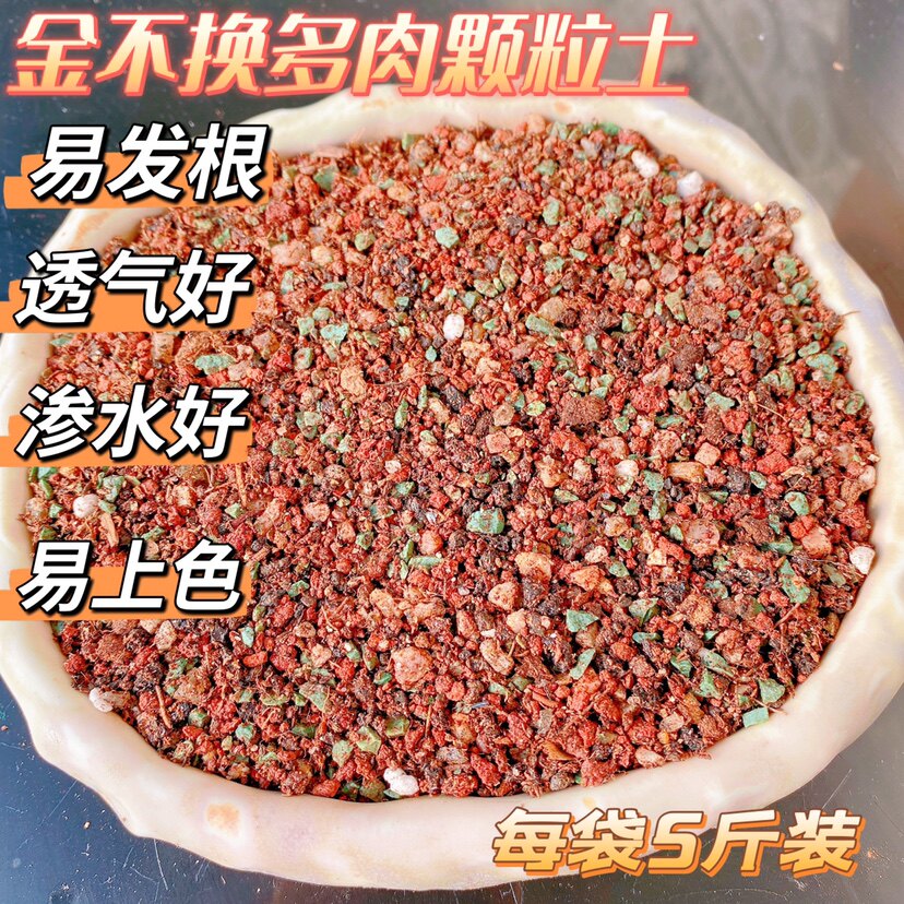 金不换多肉专用颗粒土 易服盆易发根 透气透水