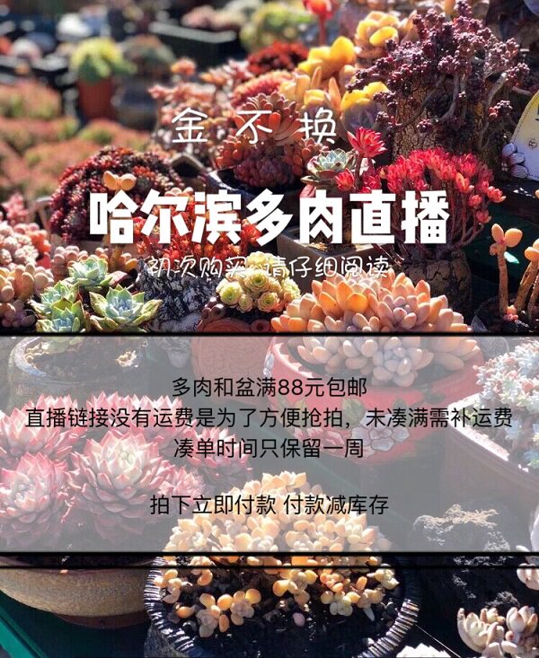 直播间一元链接
