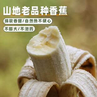 云南高山丑香蕉自然熟香蕉新鲜香蕉小香蕉芝麻蕉甜