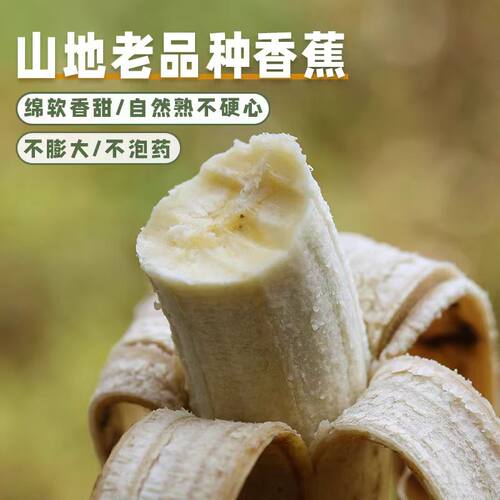 云南高山丑香蕉自然熟香蕉新鲜香蕉小香蕉芝麻蕉甜