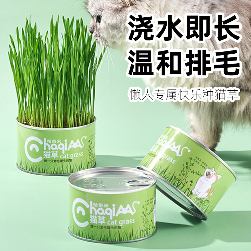 水培猫草杯盆栽种植盒种猫草专用猫咪排毛球懒人猫草盆化毛草麦种,宠物/宠物食品及用品,猫草/猫草片,淘宝优惠券,粉丝福利购,淘宝优惠卷