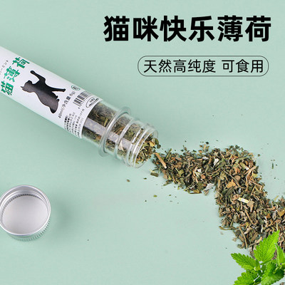 【拍下立减】可食用天然猫薄荷