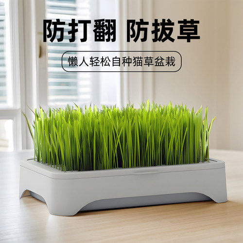 防打翻防拔草懒人自种新鲜猫草
