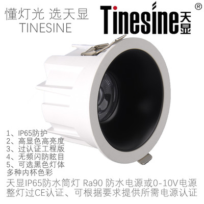 天显高显色Ra90高可靠IP65防水大瓦数LED筒灯雨棚半户外调光照明