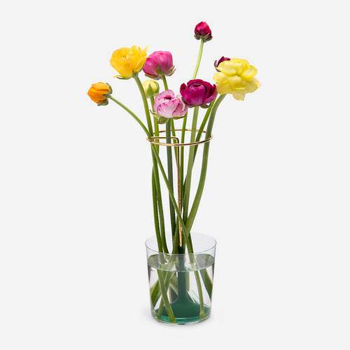 Peleg Design魔法花托花瓶 Invisivase创意简约小花器花架 - 封面