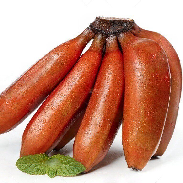 正宗漳州美人红香蕉 红美人火龙蕉红蕉 当季现摘香甜软糯水果包邮