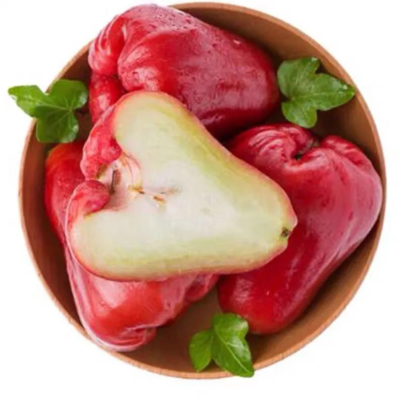 福建黑金刚莲雾产地直发当季水果莲雾包邮新鲜水果莲雾,水产肉类/新鲜蔬果/熟食,莲雾,淘宝优惠券,粉丝福利购,淘宝优惠卷