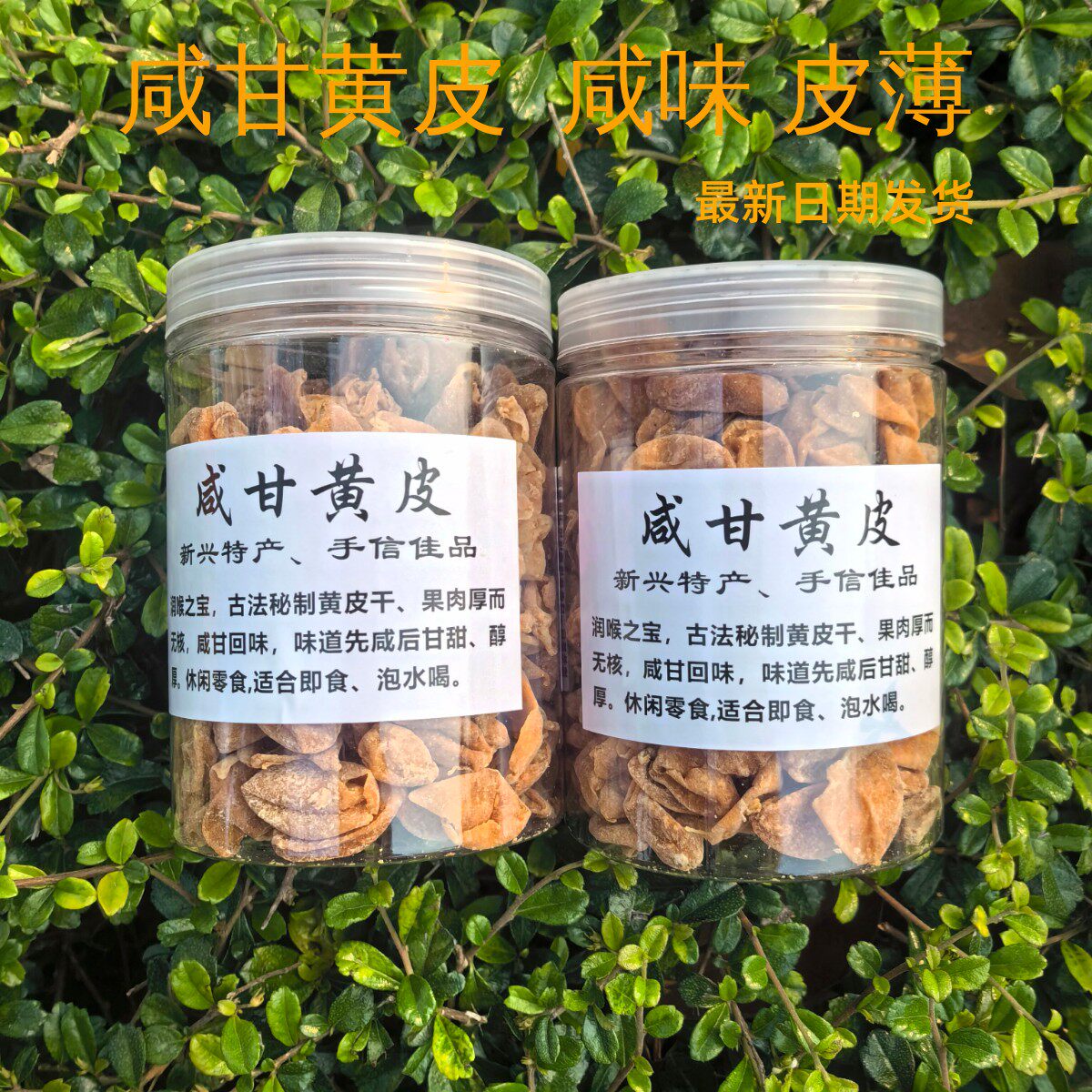 咸甘黄皮干化痰润喉开胃咸味黄皮干无核 广东特产 办公室零食果干