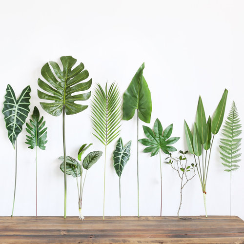 散尾葵棕榈叶龟背竹摄影仿真绿植