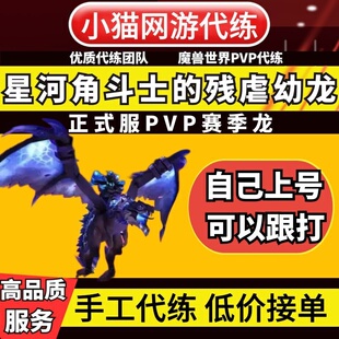 wow魔兽世界代练手工竞技场2400PVP赛季龙星河角斗士的残虐幼龙