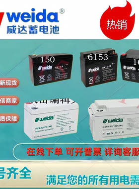 Weida威达蓄电池HX12-7 HX12-17 HX12-24HX12-38 HX12-65HX12-100