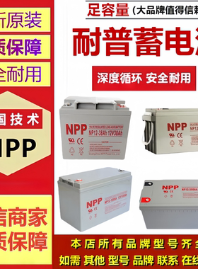 NPP耐普蓄电池NP12-100 NP12-65 NP12-38 NP12-40 NP12-45NP12-80