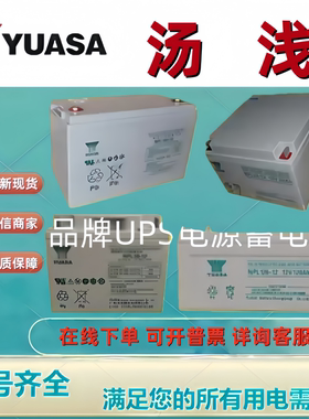 YUASA汤浅蓄电池NPL170-12/12V170AH铅酸免维护机房UPS/EPS主机用