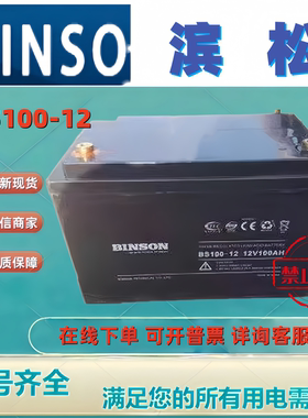 BINSON滨松蓄电池BS100-12 12V100AH免维护机房UPS消防主机电梯