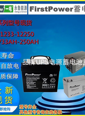 FirstPower一电蓄电池LFP1233 LFP12100 LFP1238 LFP1224 LFP1265