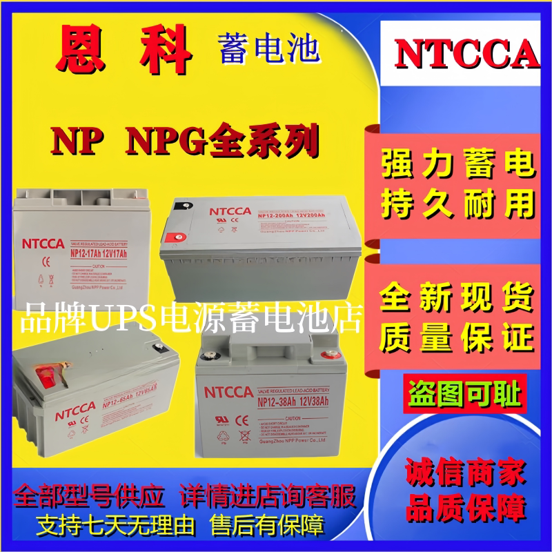 NTCCA恩科蓄电池NP17-12V20AH24AH38AH40AH65AH NPG100-12V120AH