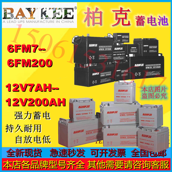 BAYKEE柏克蓄电池6FM100 6FM7 6FM12 6FM17 6FM24 6FM38 6FM65