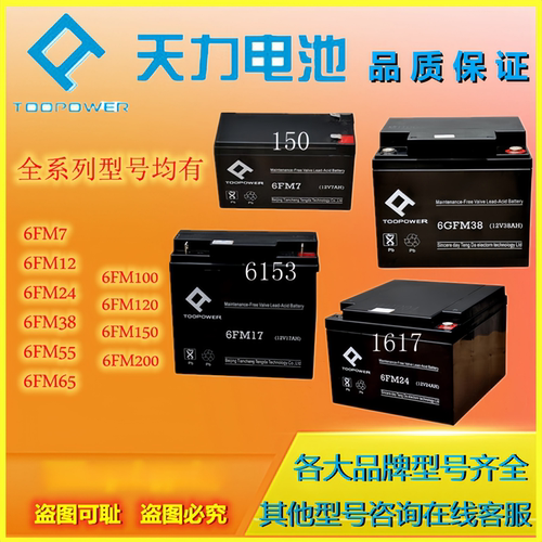 TOOPOWER天力蓄电池6GFM100 6FM7 6FM12 6FM17 6FM24 6GFM65全新