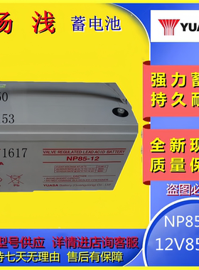 汤浅原装蓄电池NP85-12 12V85AH直流屏UPS主机消防设备机房应急