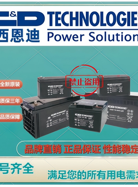 西恩迪蓄电池C&D12-100 LBTC&D12-54 C&D12-40 C&D12-26 C&D12-65