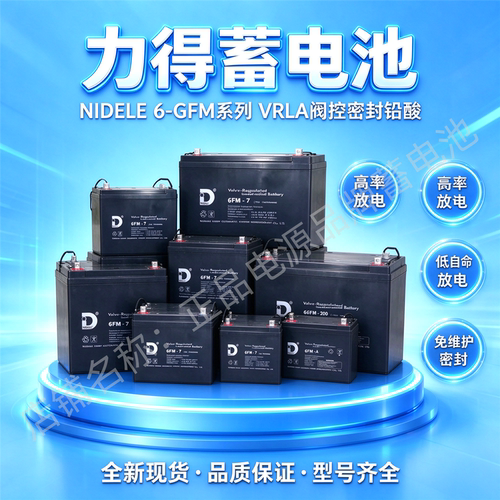 NIDEL力得蓄电池6-FM-65 6-FM-100 6-FM-24 6-FM-38 6-FM-17 6GFM