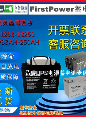 一电蓄电池LFP1233 LFP1240 LFP12100 LFP1238 LFP1224 LFP1265新