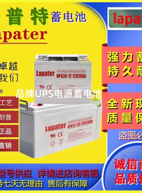 Lapater拉普特蓄电池NP/NPG100-12v100AHA65A38A24A200A12A17A7AH