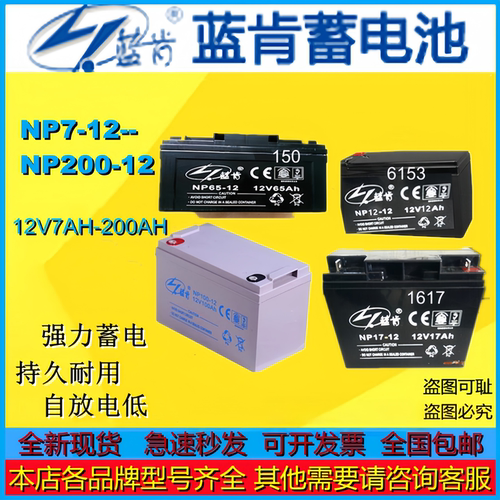 蓝肯蓄电池NP100-12 NP200-12 NP38-12 NP65-12 NP24-12 NP150-12