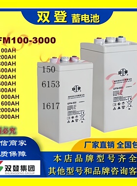 双登原装蓄电池2VGFM-200 GFM-100 GFM-300 GFM-400 GFM-500 2V