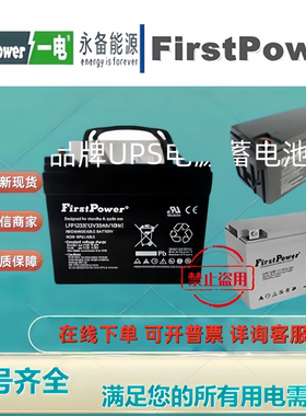 FirstPower一电蓄电池LFP1233 LFP12100 LFP1238 LFP1224 LFP1265