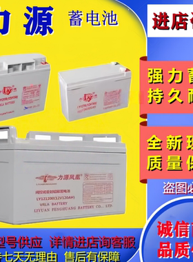力源蓄电池LY121000 LY12650 LY12400 LY121200 LY12240 LY12170
