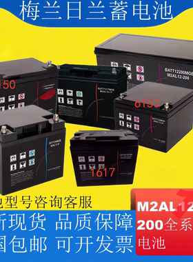 APC梅兰日兰蓄电池M2AL12-100 M2AL12-17M2AL12-38M2AL12-65M2AL