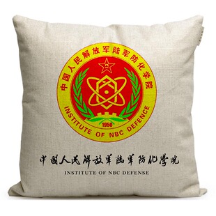 陆军防化学院定制学生礼品靠垫枕头沙发抱枕周边毕业纪念品