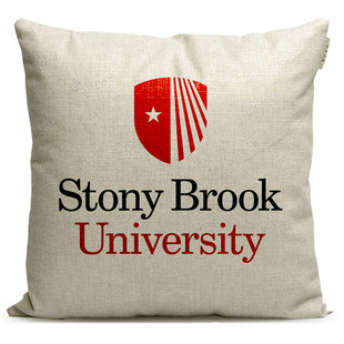 纽约州立大学石溪分校Stony Brook周边抱枕纪念品靠垫沙发靠枕