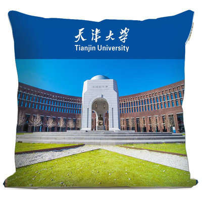 印象.天津大学 天大校园美景抱枕文创靠枕校友礼物毕业纪念品