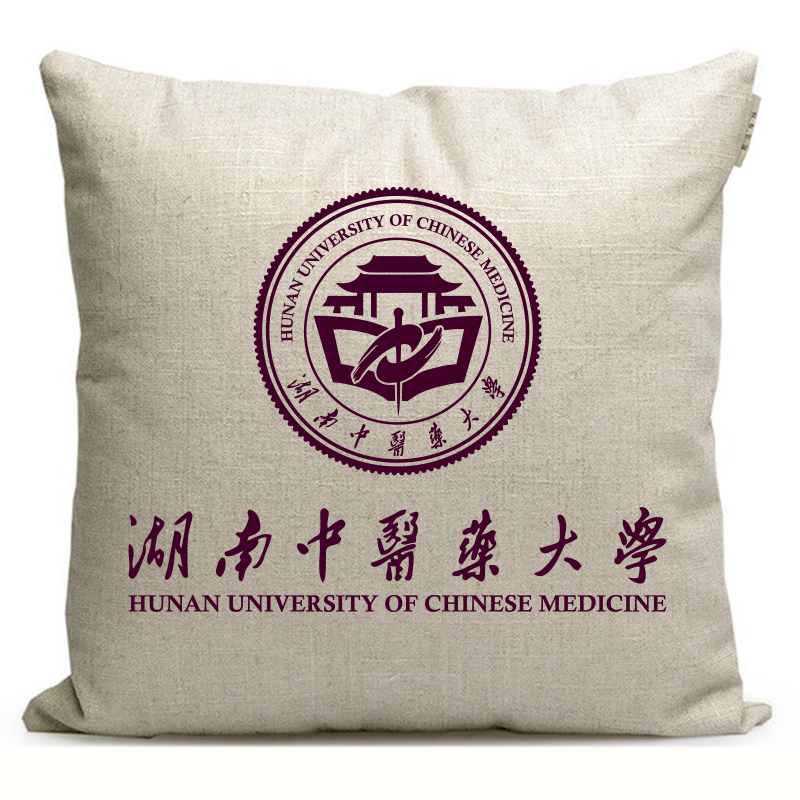 湖南中医药大学纪念品周边定制礼品学生午休枕头座椅靠垫沙发抱枕