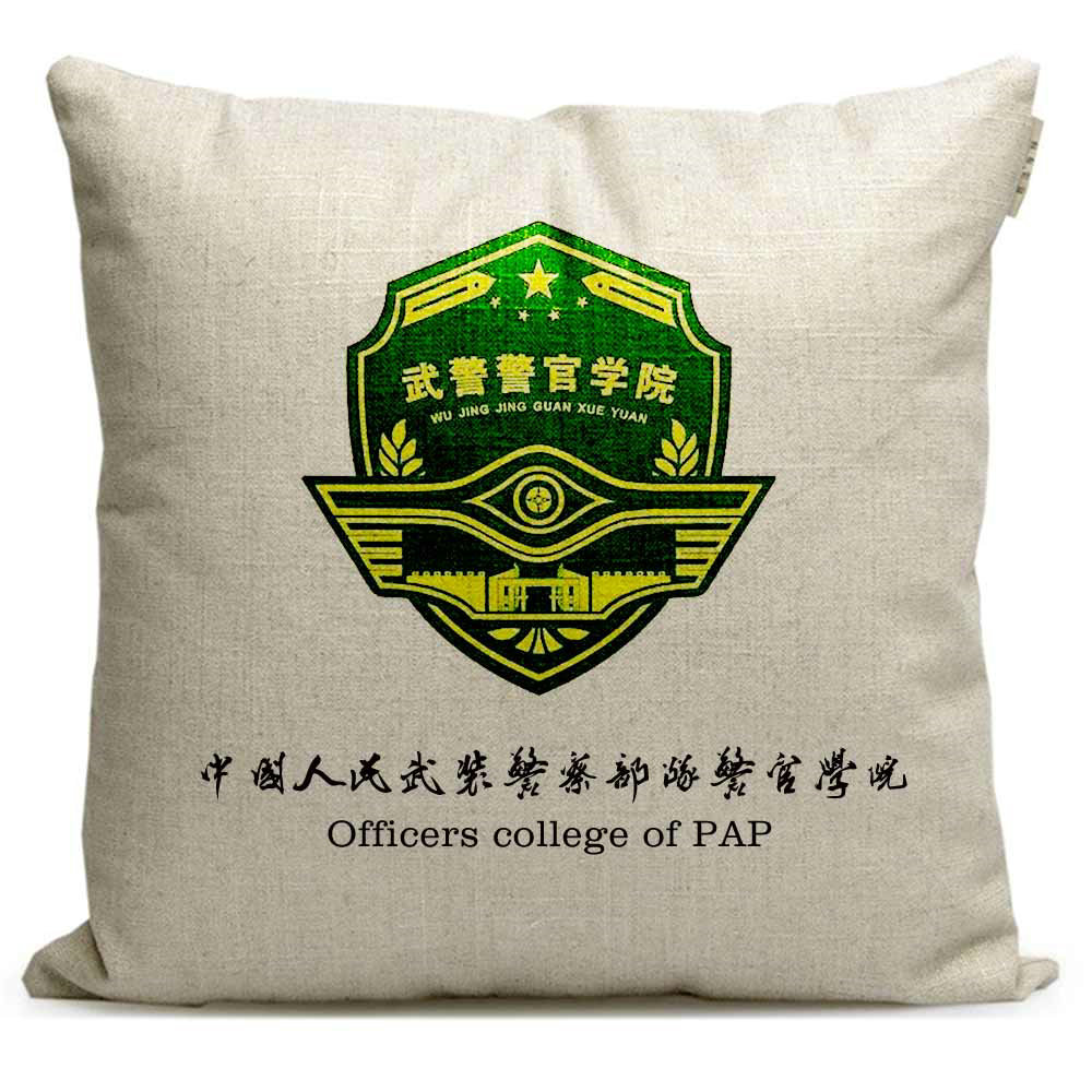 院校毕业纪念品定制武警警官学院沙发靠垫徽章周边抱枕