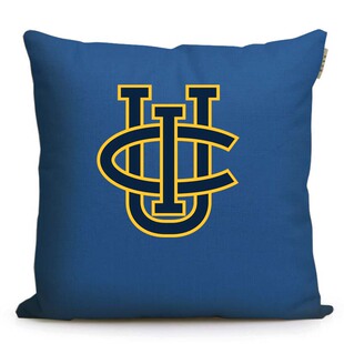 UC Irvine欧文分校纪念品 加州大学尔湾分校周边美国名校沙发抱枕