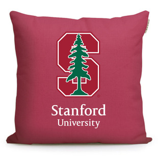 斯坦福大学Stanford University纪念品美国名校周边礼品靠垫抱枕