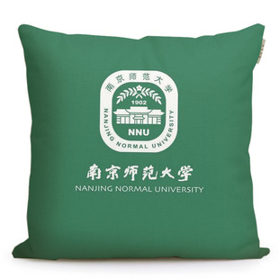 南京师范大学纪念品沙发抱枕周边南师大学生靠垫礼品靠枕