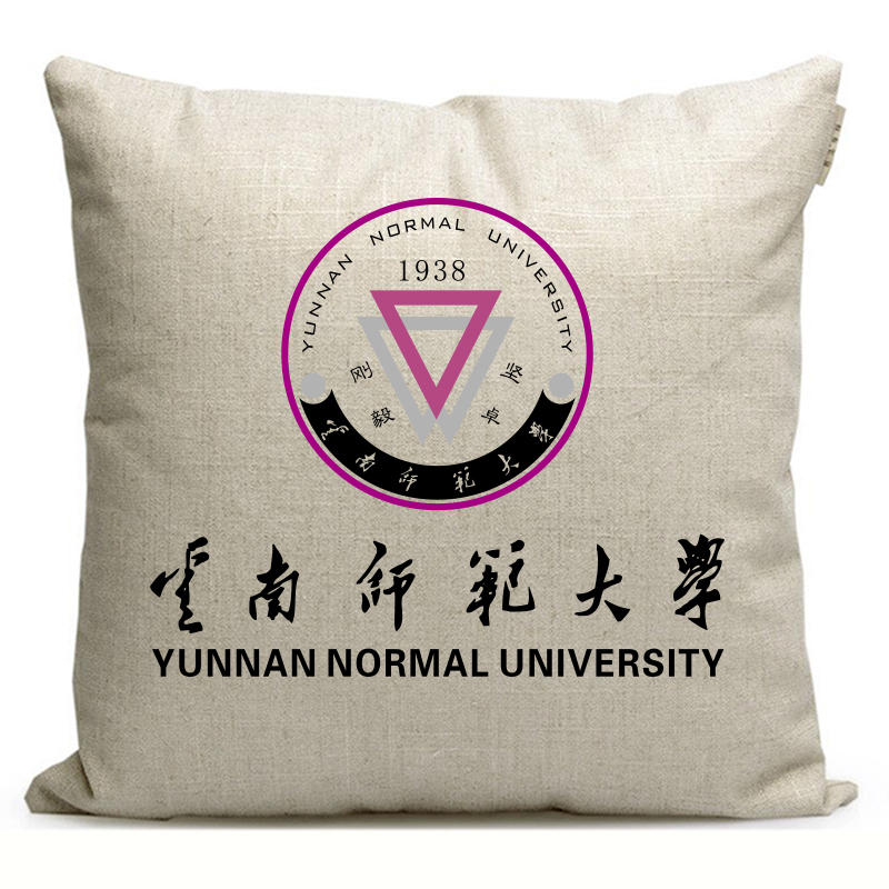 云南师范大学纪念品周边学校文创礼品定制沙发靠枕靠垫学生抱枕